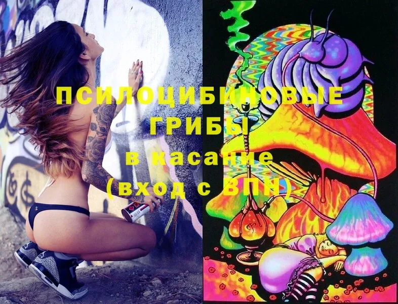 blacksprut ССЫЛКА  Энем  Псилоцибиновые грибы Magic Shrooms 